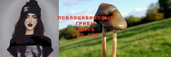 спайс Арсеньев
