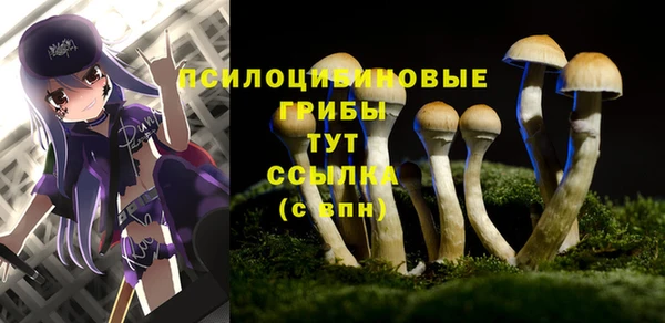 марки nbome Алексеевка